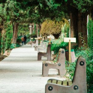 Row of empty park benches along a sidewalk in a treelined walking path