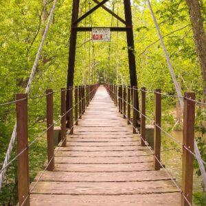 Elevated wooden plank railed bridge in the forest